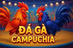 Đá Gà Campuchia FLY888 – Cá Cược Thật, Thưởng Nhanh
